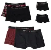Pack 2 boxers for boy male boy bipack TH TOMMY HILFIGER article UB0UB00291 2P TR