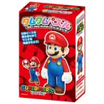 ENSKY│3D立體塑膠拼圖│瑪利歐【MARIO】│電玩遊戲│KM-100