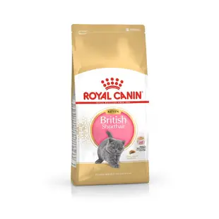 《ROYAL CANIN 法國皇家》FBN 英國短毛幼貓 BSK38 2KG 10KG 【培菓寵物】