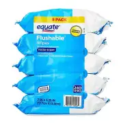 Flushable Wipes, Fresh Scent, 5 packs of 48 wipes, 240 Total Wipes
