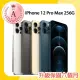 【Apple】A級福利品 iPhone 12 Pro Max 256G 6.7吋(贈簡約保護殼/顏色隨機)