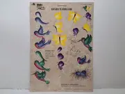 Plaid (One Stroke) Reusable Teaching Guide - Nature's Critters #1113