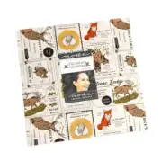 THE GREAT OUTDOORS by Stacy Iest Hsu for Moda Layer Cake