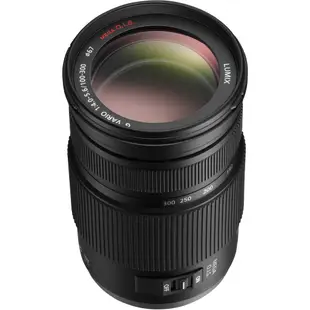 Panasonic LUMIX G VARIO 100-300mm F4-5.6 (公司貨) 現貨 廠商直送