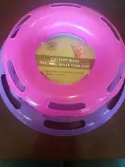 Pink And Purple Cat Fast Track Greenbrier Kennel Club