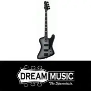 ESP LTD PHEONIX 1004 SILVER SUNBURST