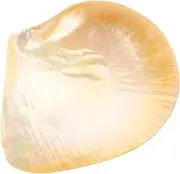 Cabilock Shell Decorative Tray Plate Divided Serving Tray Lid Caviar Dish Compartment for Home
