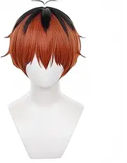 Hamish Stark Wig Stark Cosplay Wig with Wig Cap Heat Resistant Hair Anime Cosplay Wig for Festival, Holiday, Cosplay Party, Comic Exhibitions
