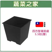 在飛比找momo購物網優惠-【蔬菜之家】四方型栽培盆5.5吋-黑色厚(花盆 塑膠花盆 蔬