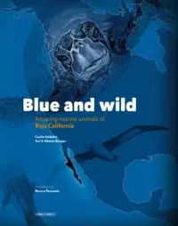 在飛比找博客來優惠-Blue and Wild: Amazing Marine 