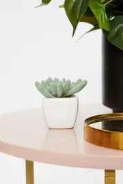 Green Artificial Mini Succulent In White Pot