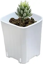 Planter Nursery Pots, Mini Planter, 10X Seedling Holder with Drainage Holes for Flower Succulents Cuttings Desktop Yard Balcony Home Garden