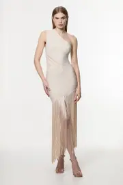 Figure Form Bandage Knit Tassel Sheer Dress