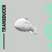 VOLA & THE ORIENTAL MACHINE - Transducer [CD]