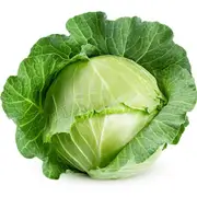 Cabbage - Danish Ballhead seeds