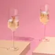 RITZENHOFF｜輕柔相遇系列-蜂鳥與蝴蝶 PROSECCO 香檳氣泡酒對杯 / 233 ml