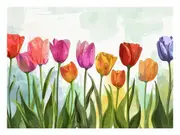 Colorful Tulips Canvas Print Wall Art