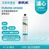 在飛比找樂天市場購物網優惠-【EVERPURE 愛惠浦】EF6000 全流量強效碳纖維系