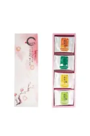 Tongwang Handmade Fruity Dried Plum Cake Gift Box