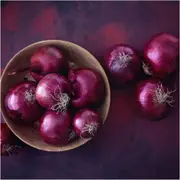 Onion - Red Odourless seeds