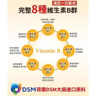 【悠活原力】原力緩釋維生素B群 緩釋膜衣錠X6盒(60粒/瓶 綜合維生素 綜合維他命 B群 維生素B群 維他命B群)