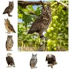 Flat Bird Repel Scarecrow Owl Scarecrow Scarer Pendant Decorative Scarer Outdoor