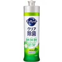 在飛比找PChome24h購物優惠-日本KAO潔淨洗碗精(綠茶)240ml