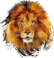Lion Head Patch Iron-on Transfer for Clothing