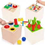 5 in 1 Wooden Blocks Shape Sorter Montessori Toys for Toddlers 1 2 3 Year