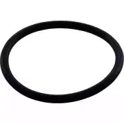 Polaris 3900 Sport O-ring WMS Upper to Vactube Interface R0544000