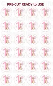 24 x FLOPSY RABBIT 1st BIRTHDAY Edible Wafer Paper Cupcake Toppers PRECUT READY