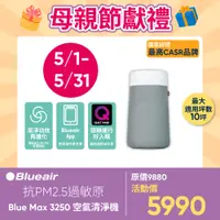 在飛比找PChome24h購物優惠-瑞典Blueair 抗PM2.5過敏原 BLUE MAX 3