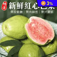 在飛比找生活市集優惠-【果之蔬】果農直配新鮮紅心芭樂5斤/10斤