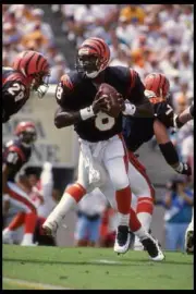 Quarterback Jeff Blake Cincinnati Bengals drops back during the- 1995 Old Photo