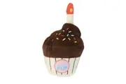 Birthday Cake Large Soft Plush Dog & Puppy Toy - 20cm (FuzzYard)