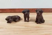 Dollhouse Labrador Chocolate Lab Puppy Dogs x3 1:12 Scale Miniatures Animal Pet