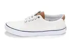 SPERRY TOP-SIDER SNEAKERS Striper II CVO off-white USA 9.5
