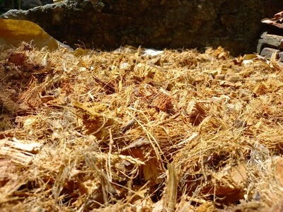 Coconut Husk Chips Clean Coconut Husk Fiber Orchids Anthurium Free shipping