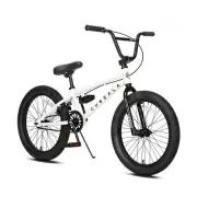 Crossea 18 20 Inch Freestyle BMX Bike for Over 5 Years Old Kids and Beginner-...