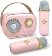 Portable Karaoke Machine for Kids and Adults, Bluetooth Speaker with 2 Wireless