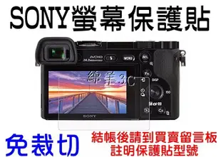 SONY 液晶螢幕保護貼 SONY A6300 A6300L A6500 WX500 HX90 A99 II 保護膜