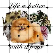 Sublimation Print Pomeranian Ready to Press Heat Transfer