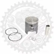 New Athena Piston Kit Complete 53.96 mm B Fits Aprilia RS 125 Extrema/Rep