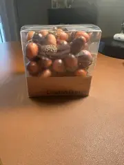 Crate and Barrel Acorn Vase Filler Fall Autumn Décor Set - NEW in Box