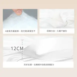【Artis雅緹絲】防螨抗菌壓縮枕/除臭機能枕(3M吸濕排汗專利/日本大和防螨抗菌) (3.3折)