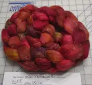 Merino Wool Glitz Combed Top Roving Spinning Handpainted Dyed Felt Slow Burn