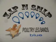 Blue LEG BANDS (ONE) size fits (ALL) POULTRY Chicken Duck Turkey Pheasant Goose