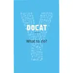 DOCAT WHAT TO DO?: THE SOCIAL TEACHING OF THE CATHOLIC CHURCH