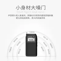 在飛比找Yahoo!奇摩拍賣優惠-收音機熊貓6203老人收音機小型迷你充電插卡半導體fm調頻廣