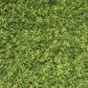 DIY Turf 1.8m x 20mm Pile Lifestyle Synthetic Turf